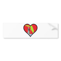 florida fountain of youth bumper sticker