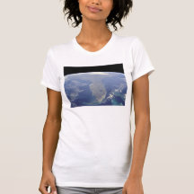 Florida from Space T-Shirt