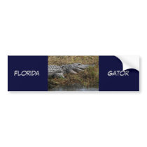 Florida Gator Bumper Sticker