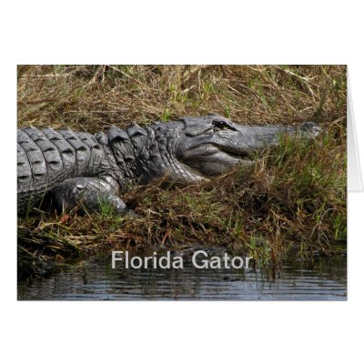 Gator Card