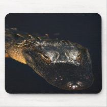 Florida Gator mousepads