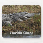 Florida Gator Mouse Pads