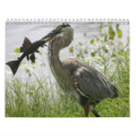 FLORIDA GREAT BLUE HERON