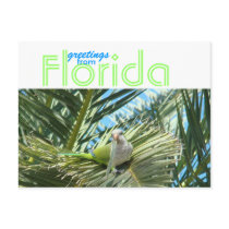 Florida Greetings Postcards