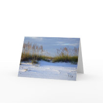 Florida Gulf Coast Beach cards