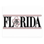 Florida Hibiscus Flower Postcard