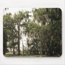 Florida in Sepia Mouse Pads