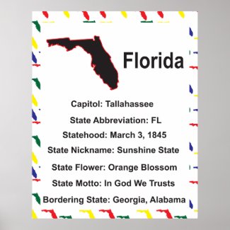 Florida Information Educational Poster