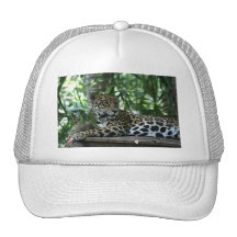 Florida Jaguar looking back lying down Mesh Hat