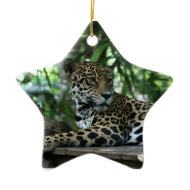 Florida Jaguar looking back lying down ornament