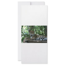 Florida Jaguar looking back lying down Custom Rack Cards