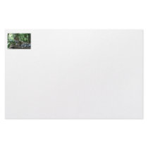 Florida Jaguar looking back lying down Customized Stationery
