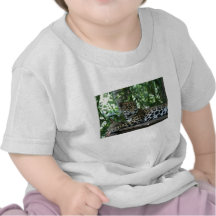 Florida Jaguar looking back lying down Tee Shirts