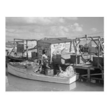 Florida Keys Fishing, 1938 Post Cards