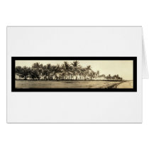 Florida Keys Fishing Photo 1912 cards