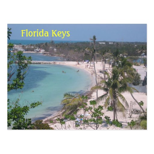 Florida Keys Postcard Zazzle