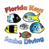Florida Keys Scuba Diving 