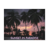 Florida Keys Sunset in Paradise postcard
