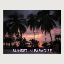 Florida Keys Sunset in Paradise postcard postcards