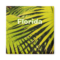 Florida magnets