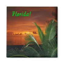 Florida! magnets