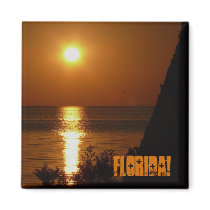 Florida! magnets