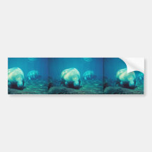 Florida Manatee Bumper Sticker