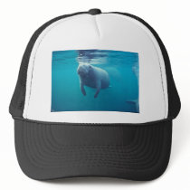 Florida Manatee Trucker Hats