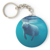 Florida Manatee keychains
