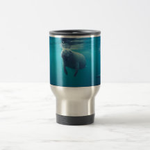 Florida Manatee Mug