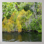 Florida Of Olde posters