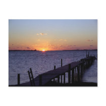 Florida Orange Sunset Postcard
