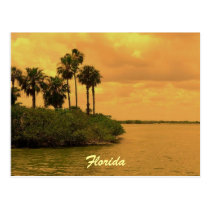 Florida Palm Tree Reverie Post Cards