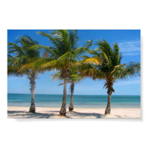 Florida palm trees print by ronnie44052 Florida palm trees print