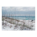 Florida Panhandle Beach Poster posters