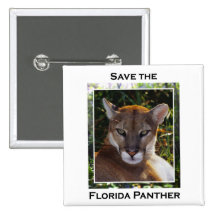 Florida Panther Button