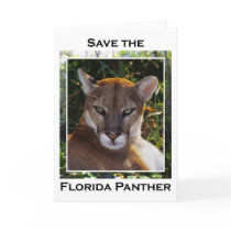 Florida Panther Cards