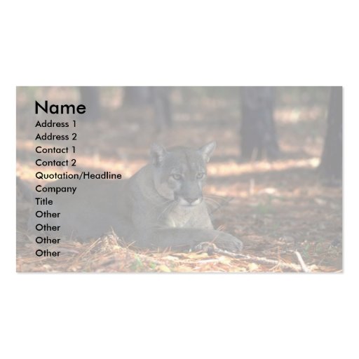 Florida """"Panther"""" (Cougar) lying down Business Card (front side)