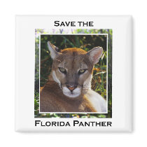 Florida Panther Magnet