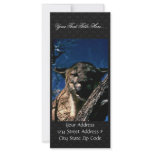 Florida Panther Rack Card Design