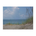 Florida Paradise Postcard