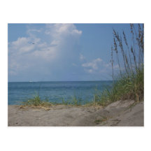 Florida Paradise Postcard