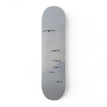 Florida Pelicans Birds Flight Clouds Skateboard by paulbatesphoto Florida Pelicans Birds Flight Clouds Skateboard