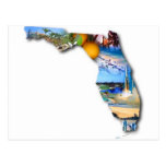 florida, picture, design, colorful, reminder,