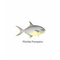Florida Pompano (titled) shirt