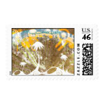 Florida postage