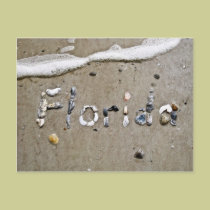 Florida postcards by Beachwalker Florida postcards