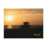Florida Postcard