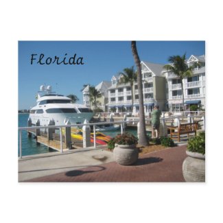 Florida postcard postcard