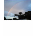 Florida Rainbow